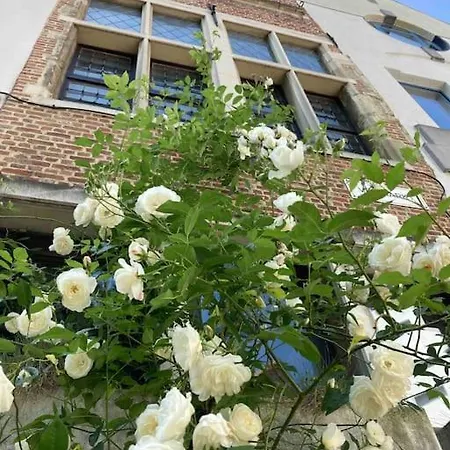 Vakantiehuis Unieke Woning In Het Historisch Stadscentrum